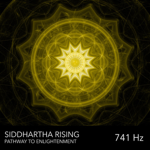 Awakening Lotus (741 Hz)