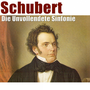 Sinfonie No. 8 in B Minor, D. 759 "Die Unvollendete Sinfonie": II. Andante con moto