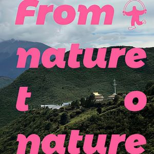 算了cover：万妮达