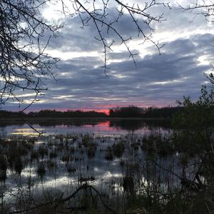 Rainbows and daisies