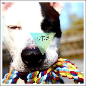 这个程度能震醒你了吗？