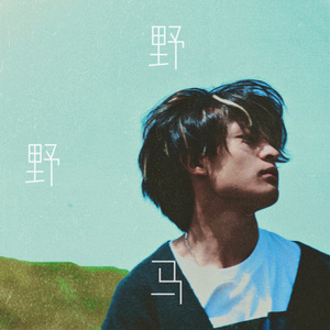 野马