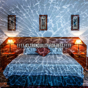 平靜的夜晚休息