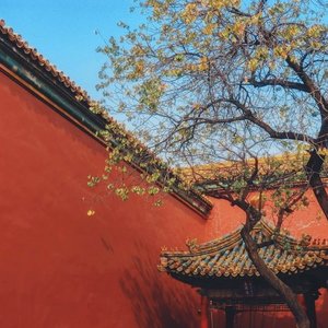 青春里的那个你