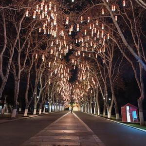 十年情散各自安