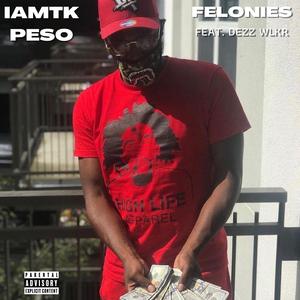 Felonies (feat. Dezz Wlkr)