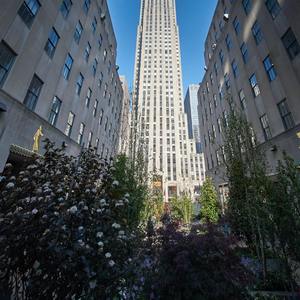 黑历史——past to present