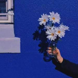 明了（cover 焦迈奇）