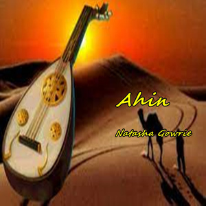 Ahin