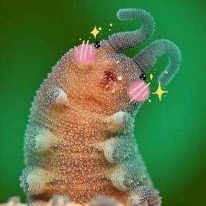 insects taste good (what happened to our worms?)