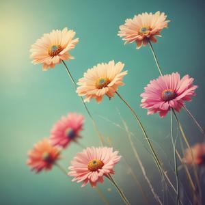 சிரித்து வாழ வேண்டும்…. by @reservedmetronome2006