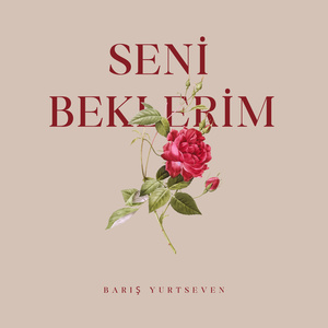 Seni Beklerim