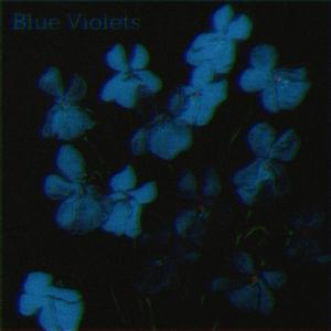 Blue Violets