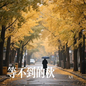 等不到的秋