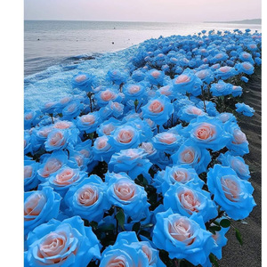 Lukison Ku Ilo Sodop