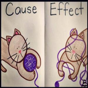 cause and effect