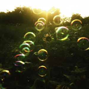 聆风 (Listen to the wind)