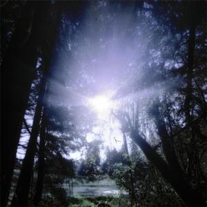 scarmangledspammer!!!