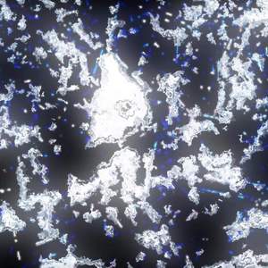 【Free】’‘77’‘暗夜社区type beat