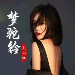 梦驼铃（新声版）（DJ版）