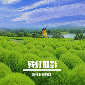 心神乱如弦