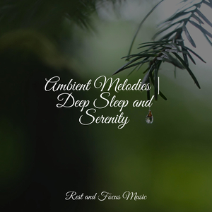 Meditations