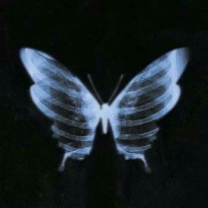 [Free]"伤疤"-Lil Tjay Type Beat