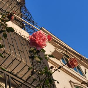 藏在笔记本里的乌托邦 （PROD BY PoPularRambo）