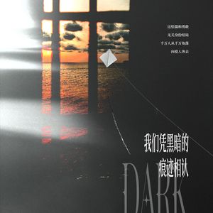 我们凭借黑暗的痕迹相认