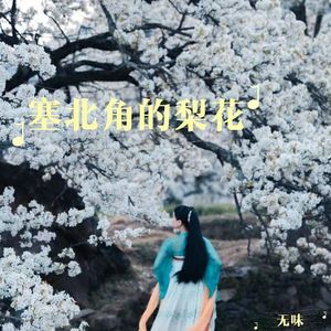 塞北角的梨花