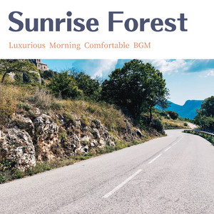 A Breeze in the Morning Air