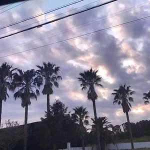 PLANET（行星中文版）（翻自 ラムジ）