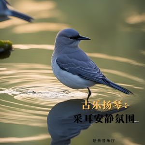 茶园 (休闲扬琴)