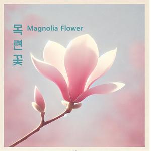 목련꽃(magnolia flower) (feat. 심여수)