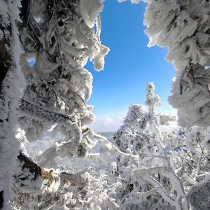 我想和你数星星