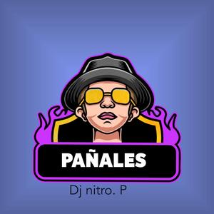 PAÑALES