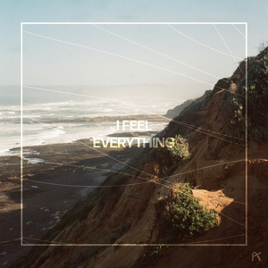 I Feel Everything