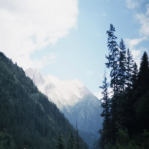 窗沿月光