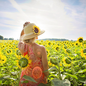 桃花源 (胎教音乐大全)