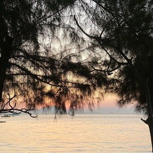 《光与尘的对话》