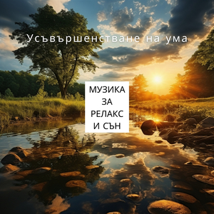 Спокойни Стъпки