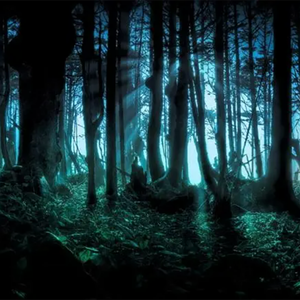 【FREE】“诡异森林” Boom Bap Type Beat