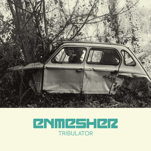 Love in Every Detail