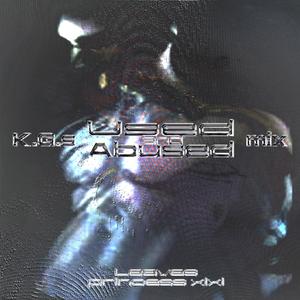 Leaves (K.G's Used & Abused Mix)