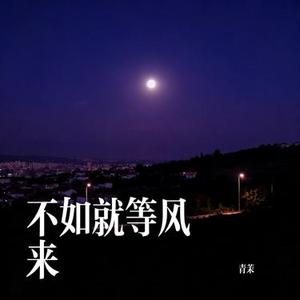 不如就等风来 (Cover 向思思)