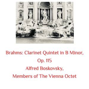 Clarinet Quintet in B Minor, Op. 115- I. Allegro