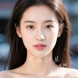 只若初见 (Cover 张德伊玲)