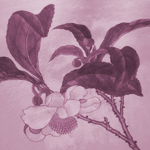 쉼이 있는 곳 (테라피)