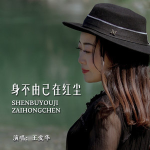 身不由己在红尘 (DJ版)