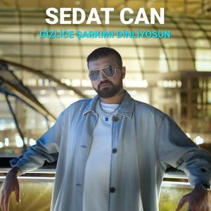 Gizlice Şarkımı Dinliyosun (Remix)